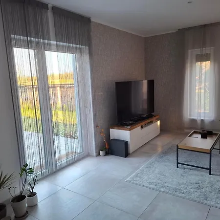 Offline * 鲍洛托内瑟德